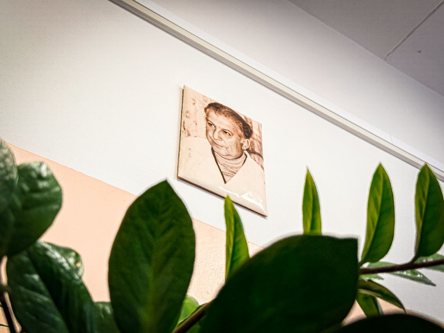 клин, общество, медицина, уникальные операции,