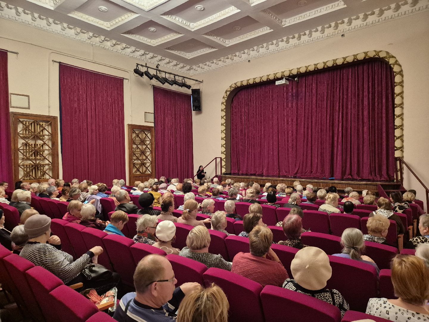 спектакль, активное долголетие,деревня демихово,