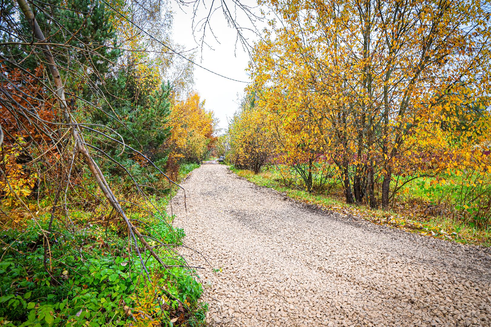 клин, общество, ремонт дороги,