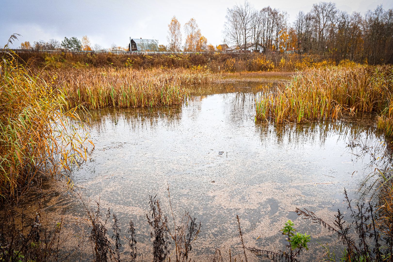 клин, общество, ремонт дорог, благоустройство,