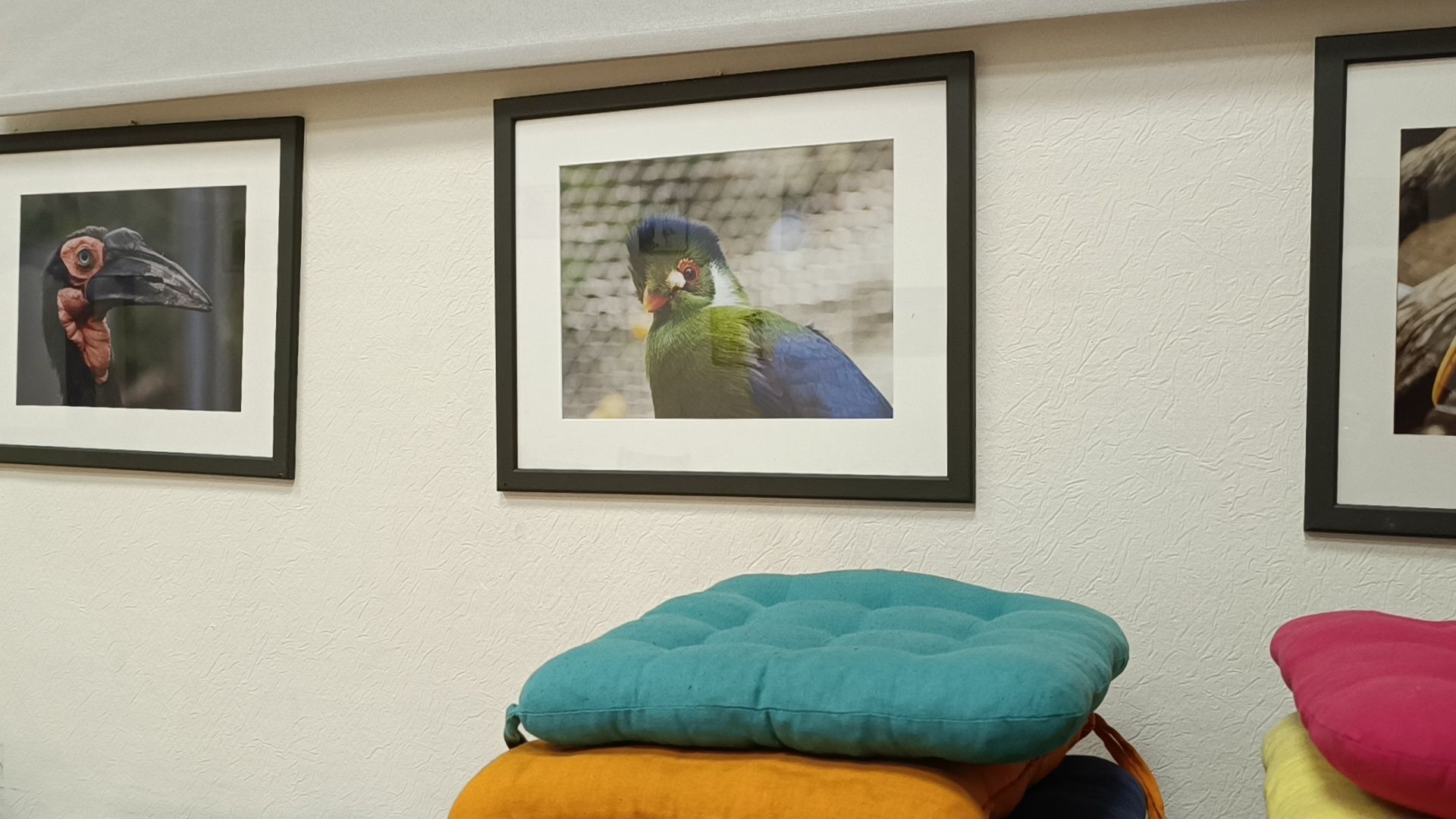 фотография, выставка, лобня,