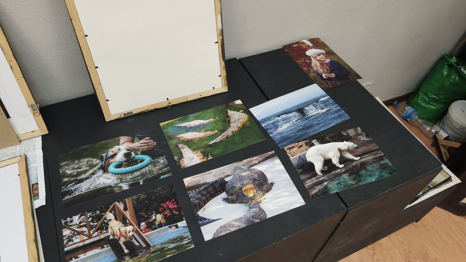 фотография, выставка, лобня,