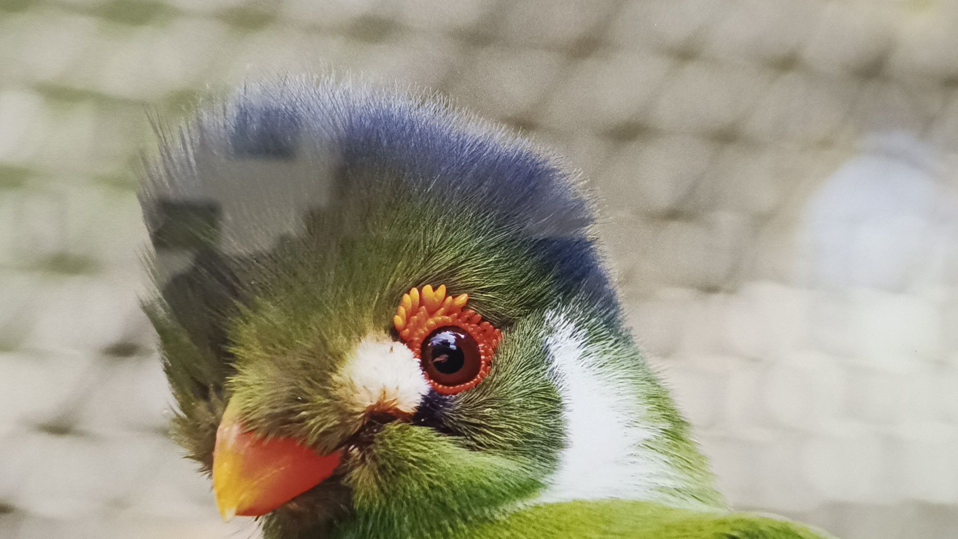 фотография, выставка, лобня,