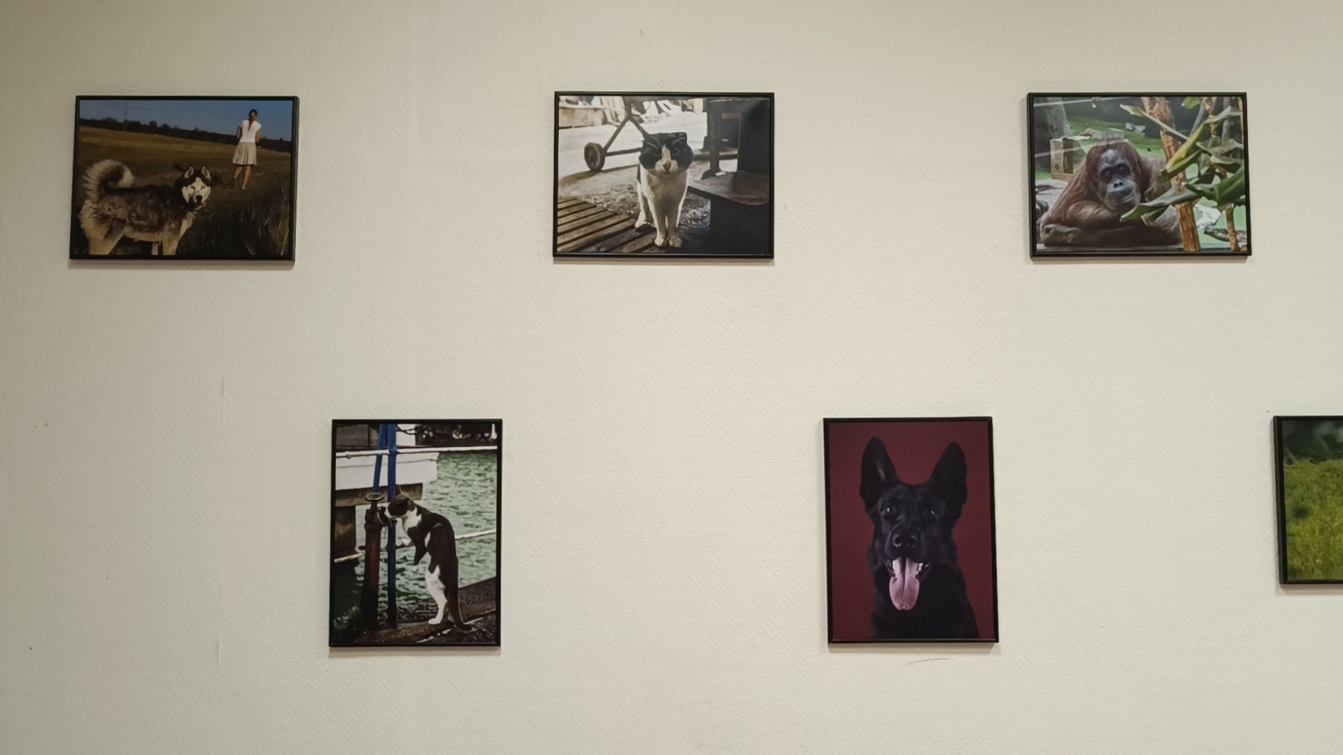 фотография, выставка, лобня,