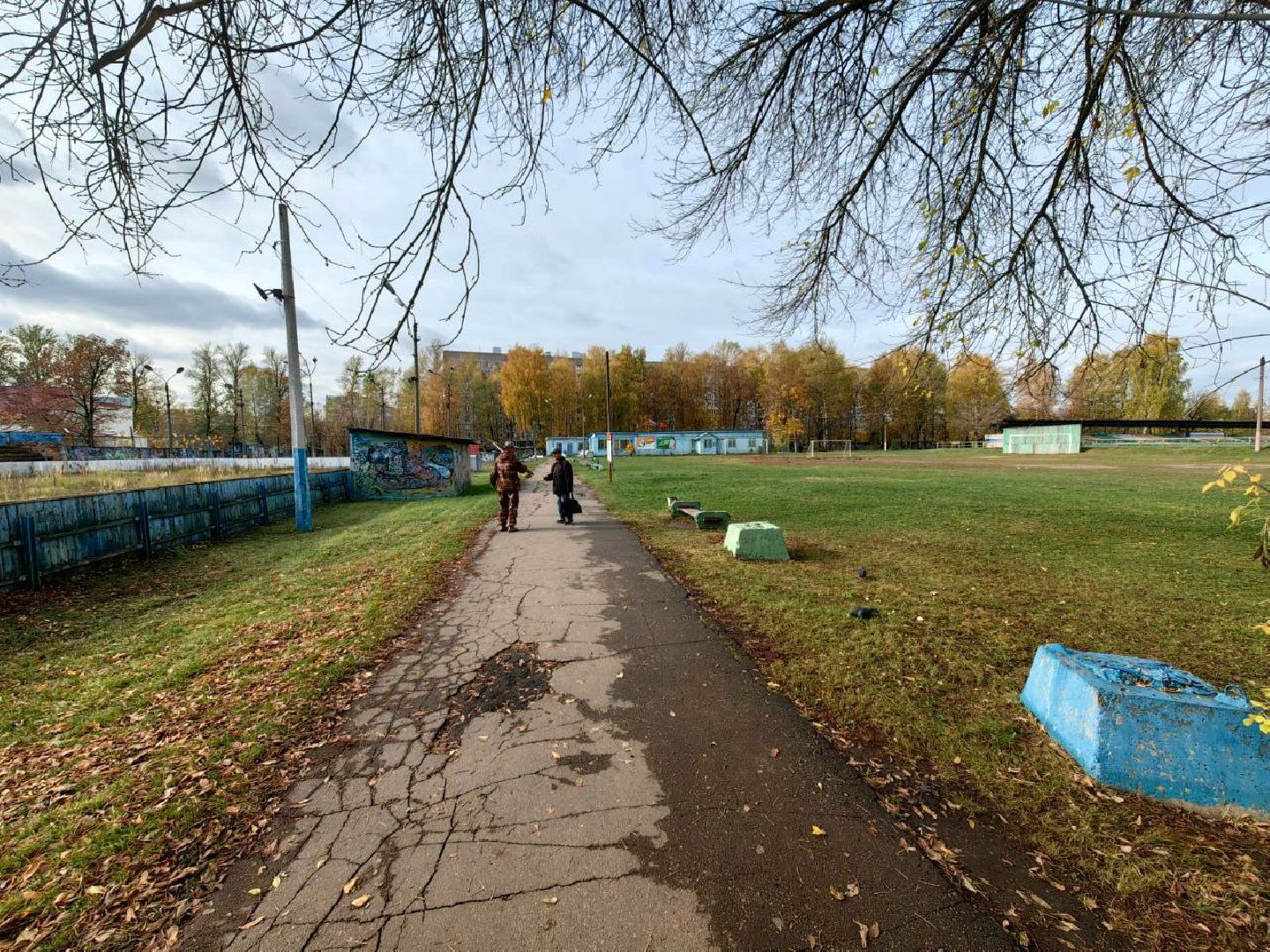 стадион, капитальный  ремонт, госпрограмма московской области, выездная администрация,