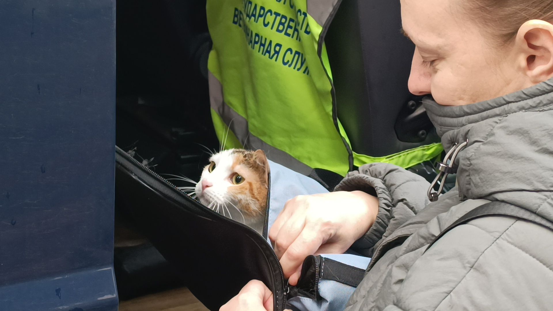 животные, лобня, парк,