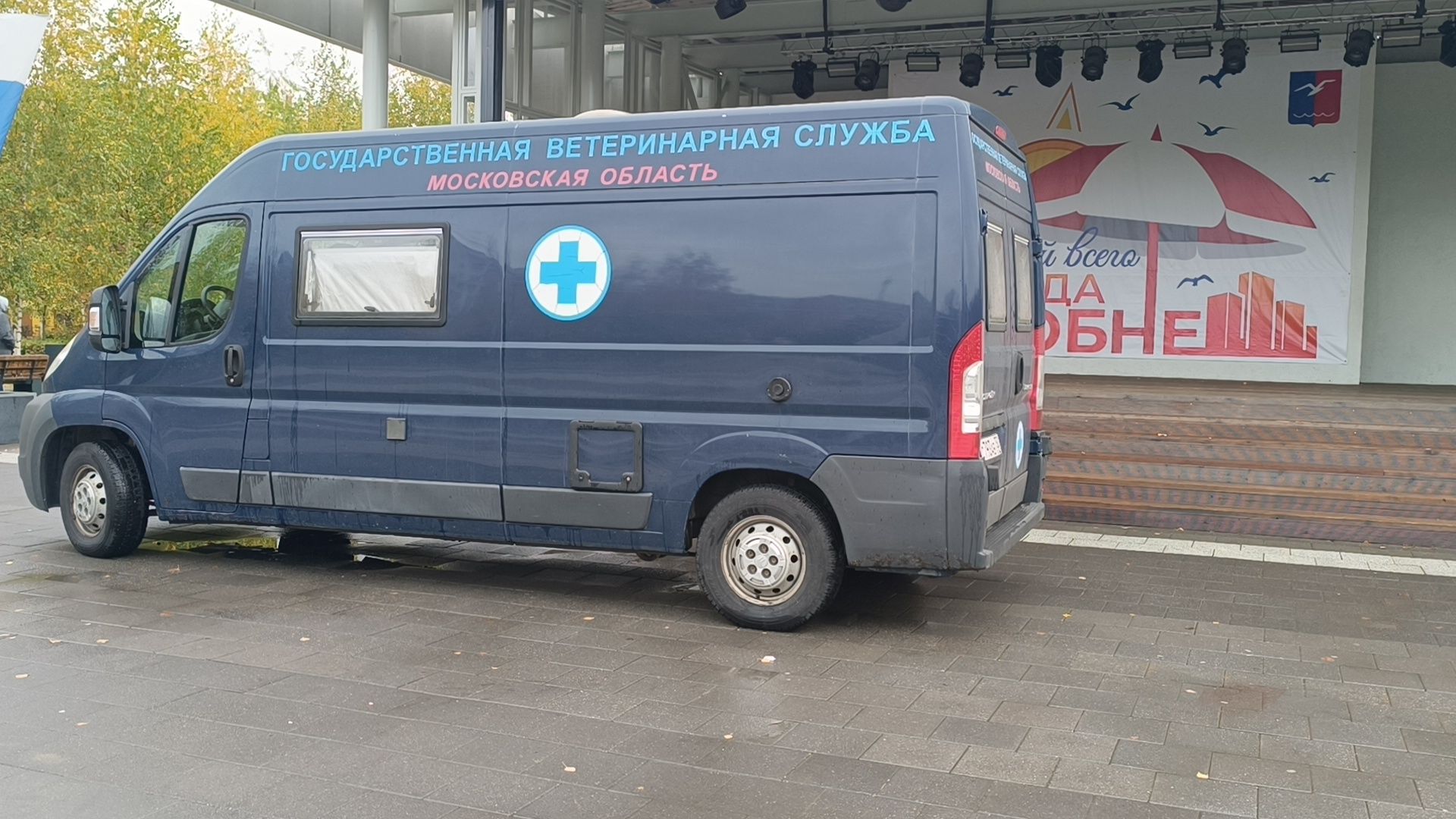 животные, лобня, парк,