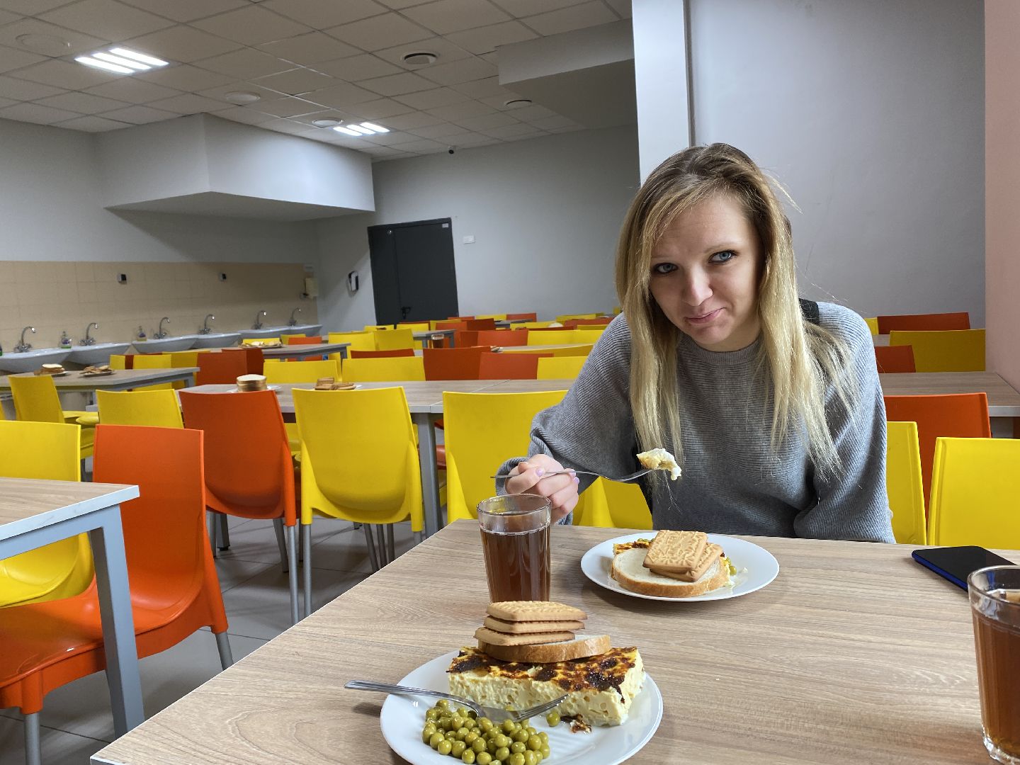 Чехов, школа, Родительский контроль, питание, многодетная мама