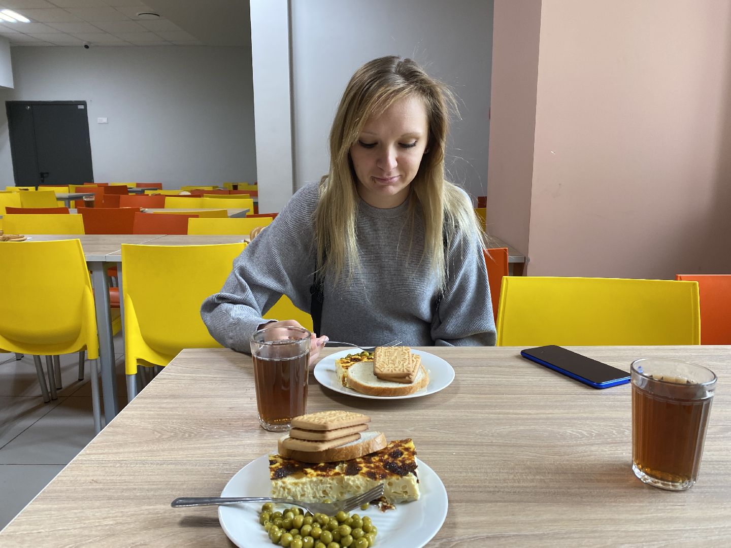 Чехов, школа, Родительский контроль, питание, многодетная мама