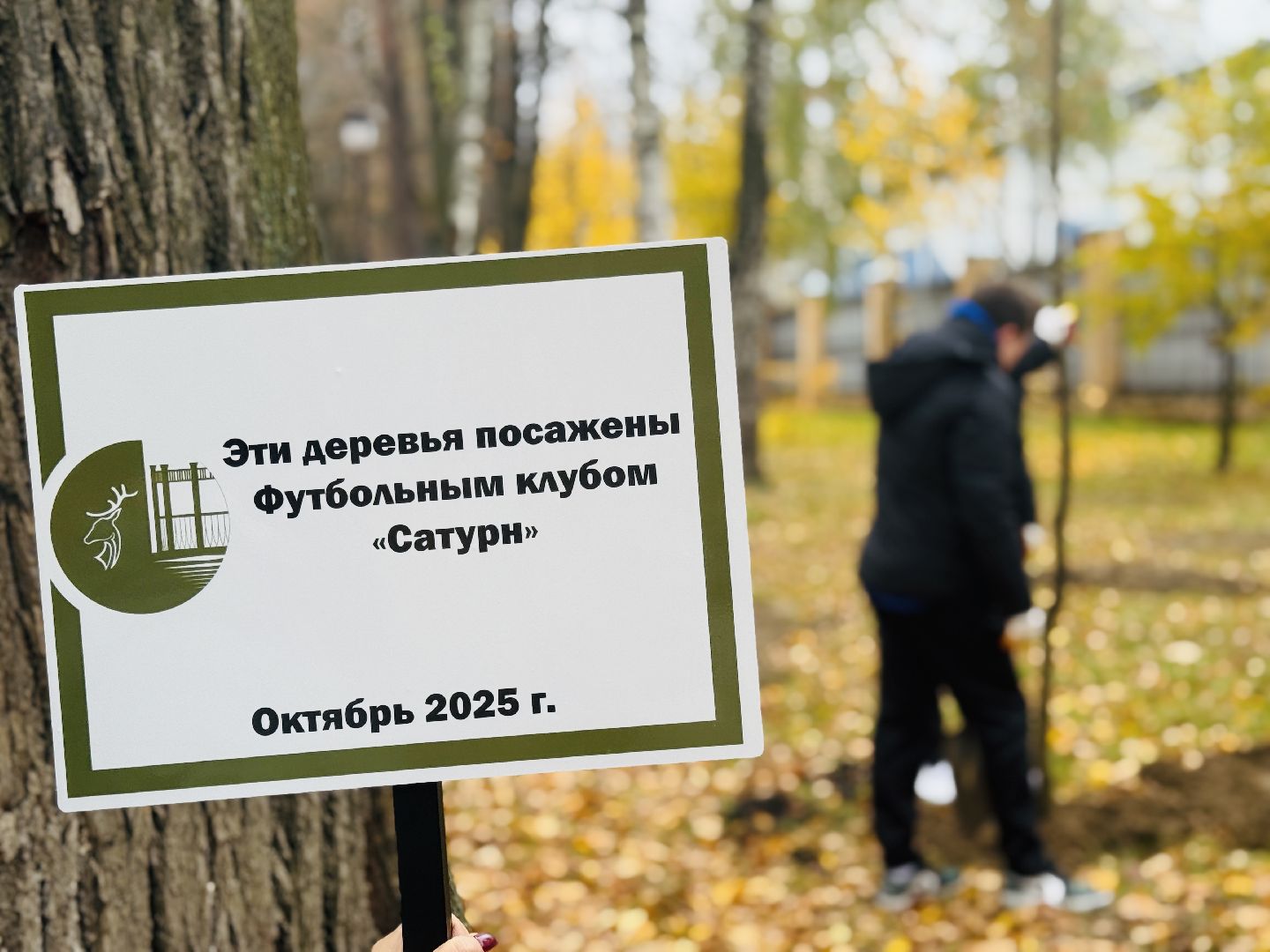 раменское, высадка деревьев, сво, сатурн, леон сатурн, раменский сатурн,  раменский городской парк,патриотическая акция,