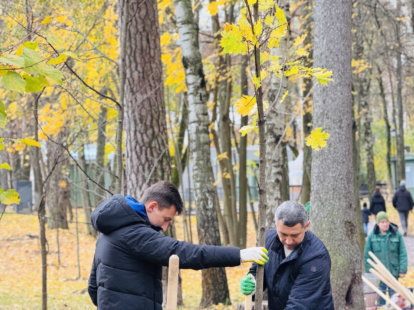 раменское, высадка деревьев, сво, сатурн, леон сатурн, раменский сатурн,  раменский городской парк,патриотическая акция,