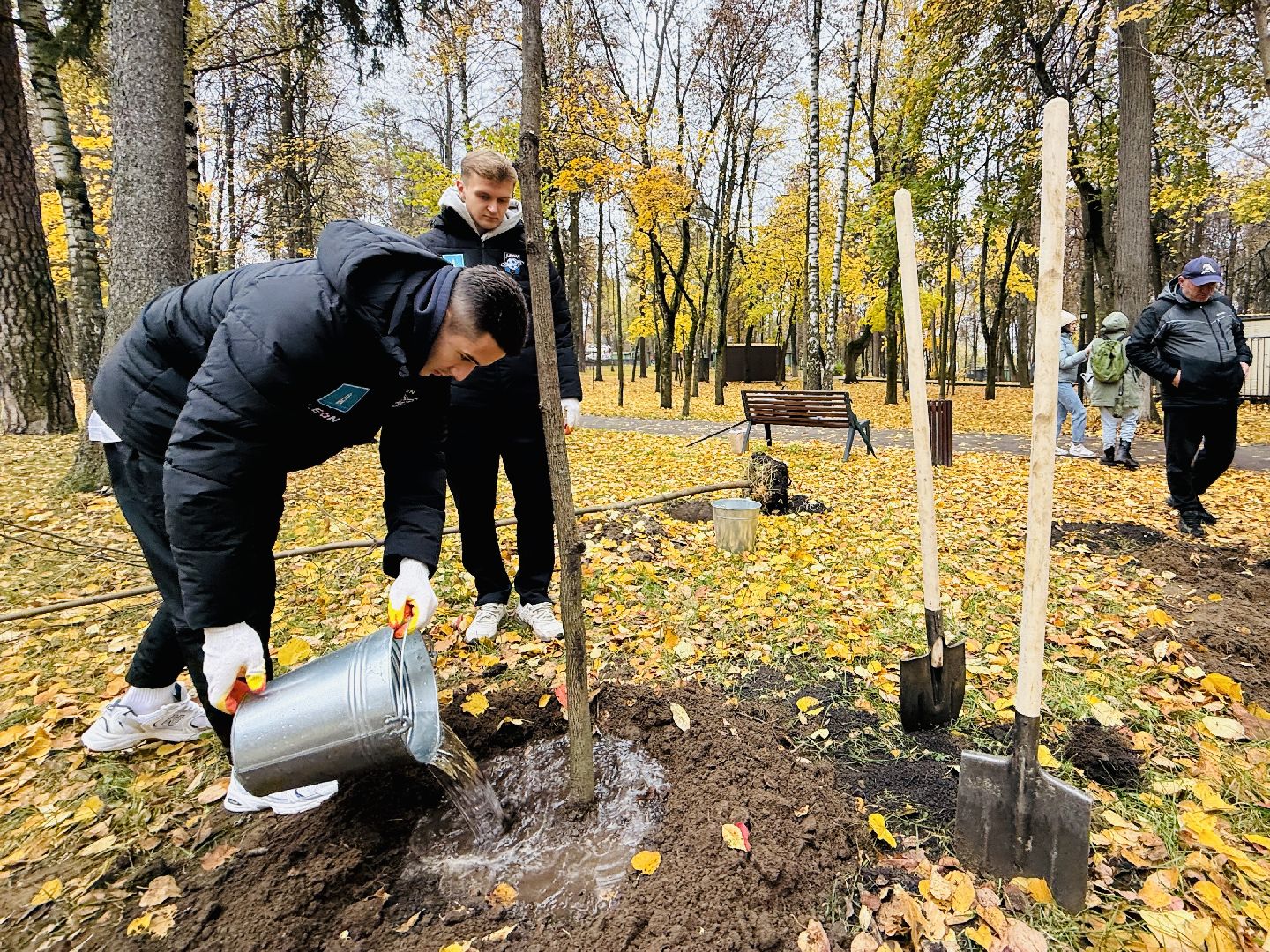 раменское, высадка деревьев, сво, сатурн, леон сатурн, раменский сатурн,  раменский городской парк,патриотическая акция,