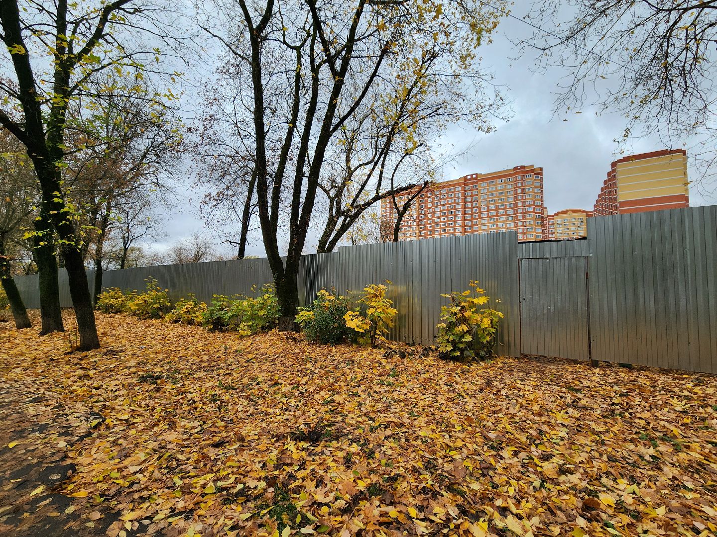 строительство, подольск, Школа, Строительство школы,