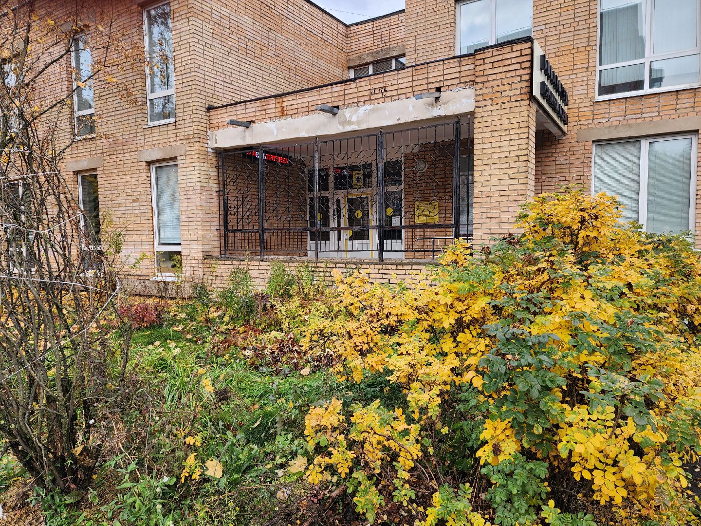 красноармейск, городской округ пушкинский, картинная галерея, художник-анималист, лекторий,