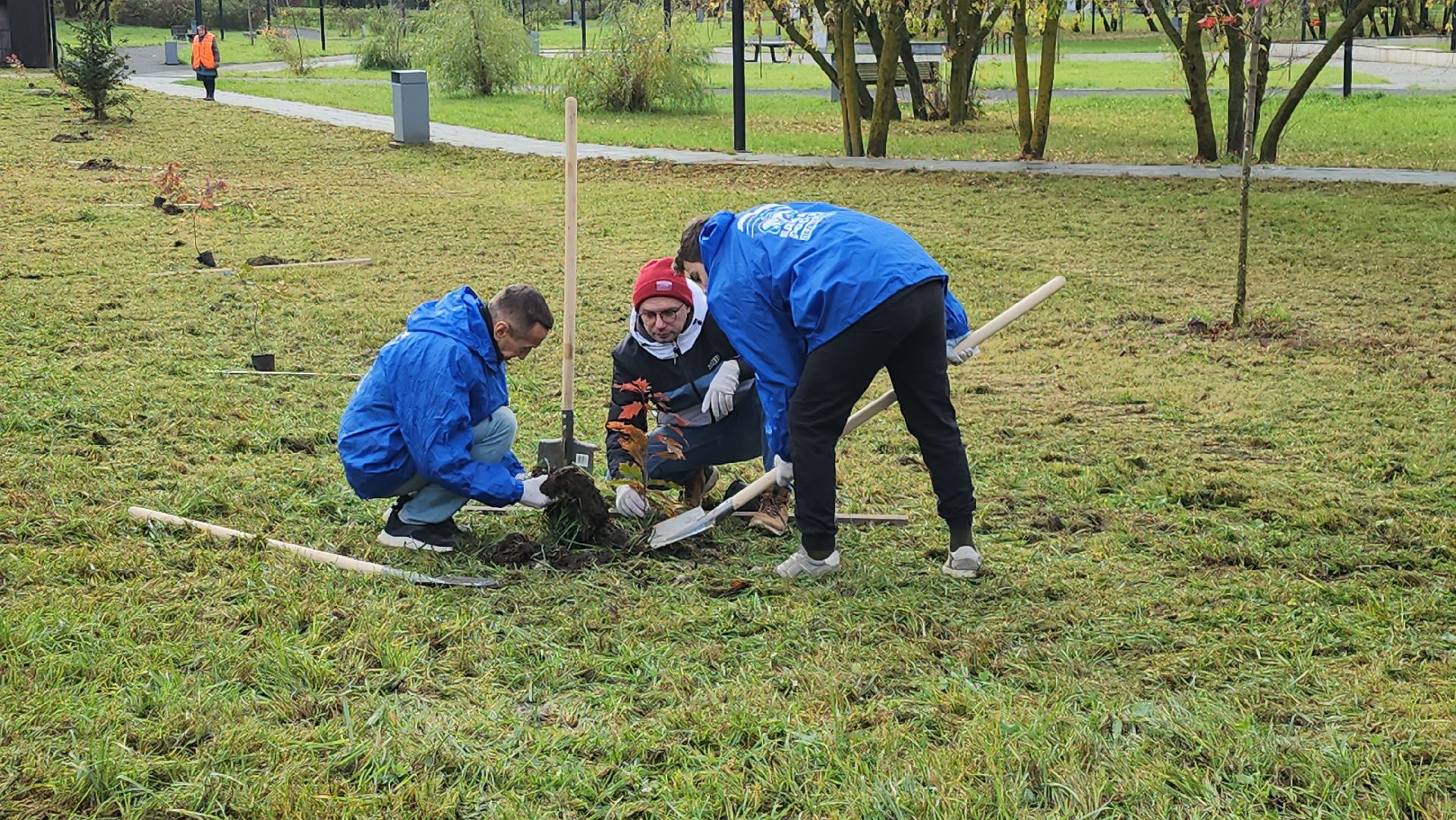 серпухов, подмосковье, высадка дубов, день отца,