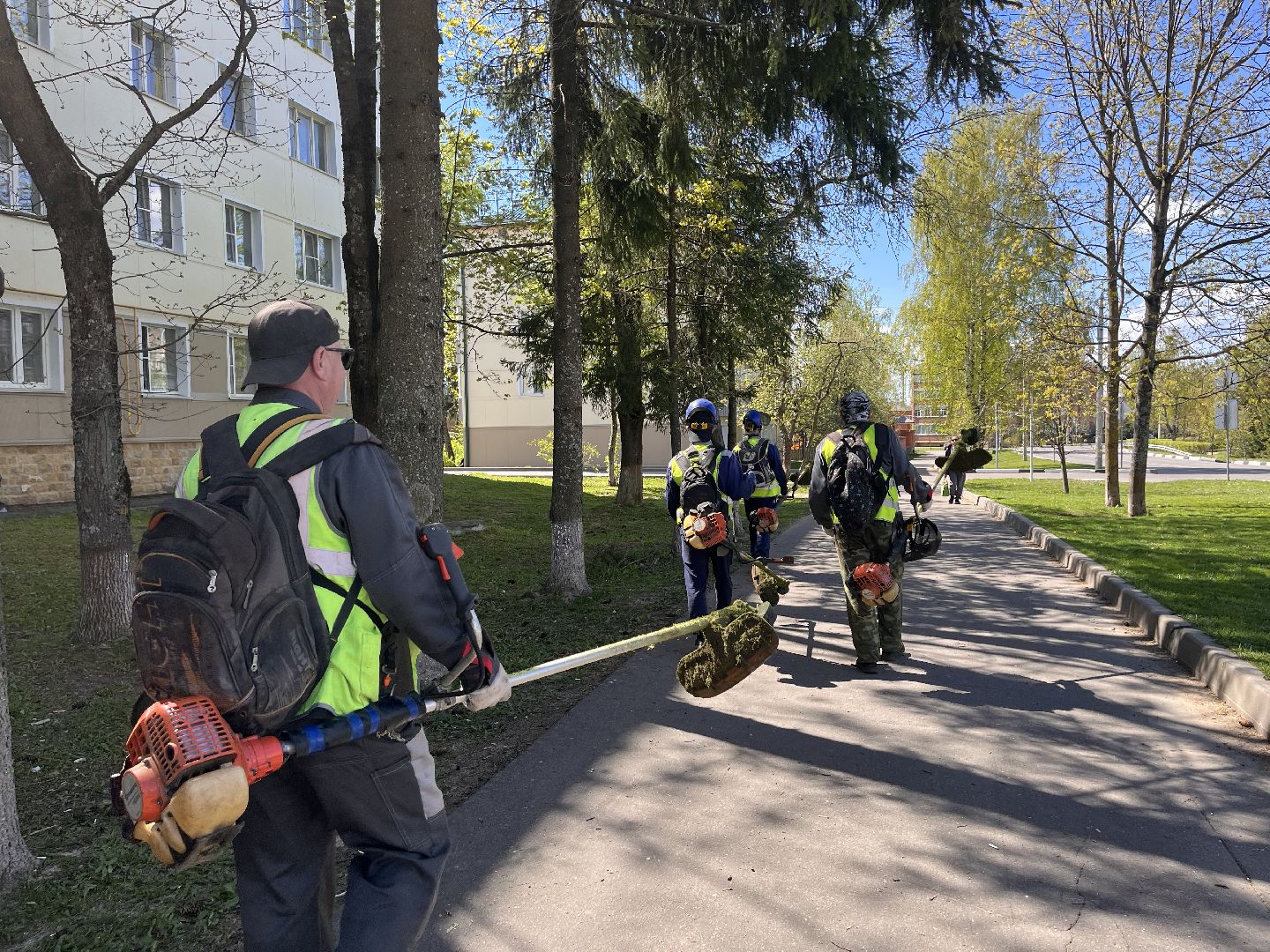 Шаховская, трава, коммунальные службы