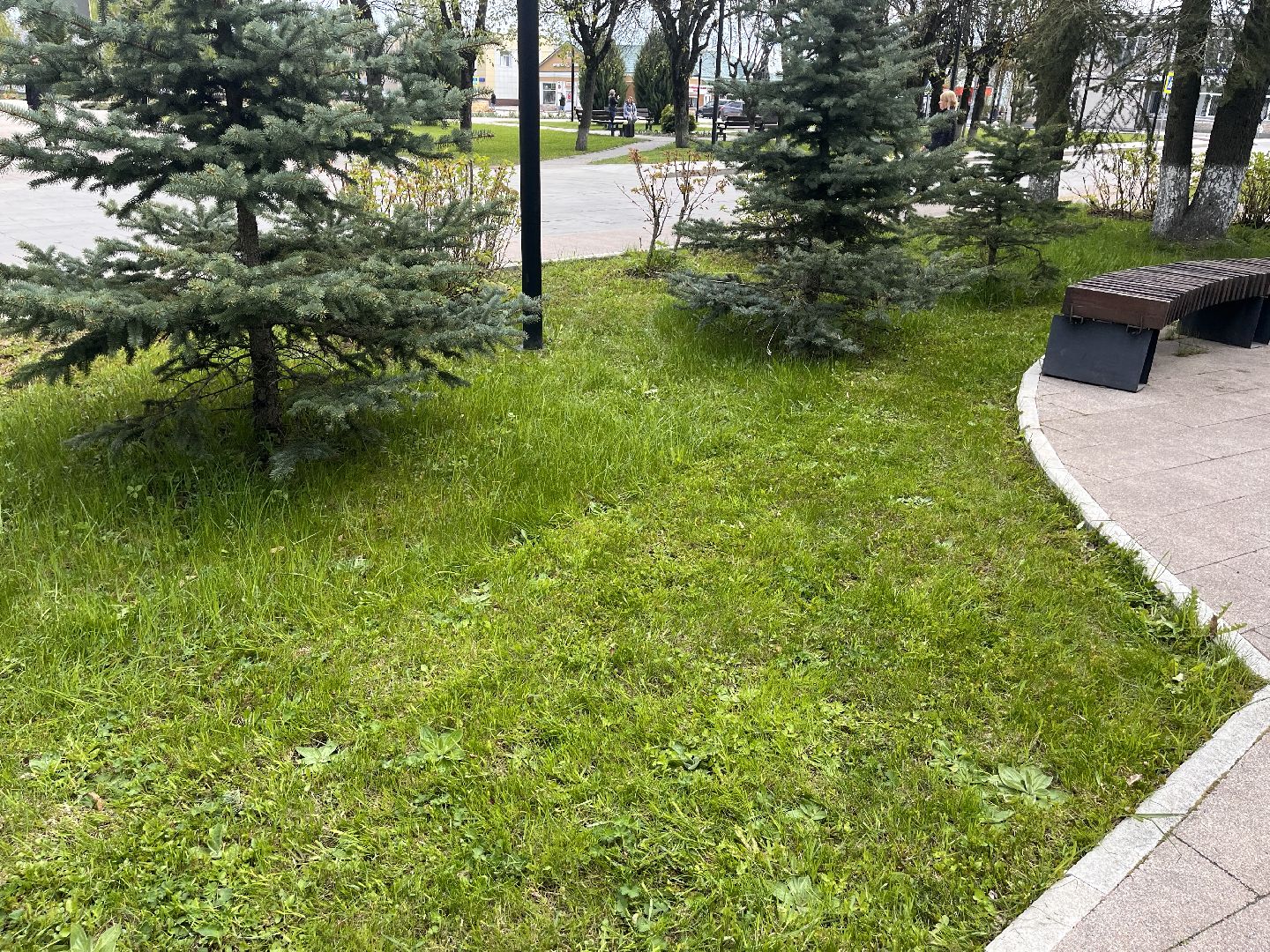 Шаховская, трава, коммунальные службы