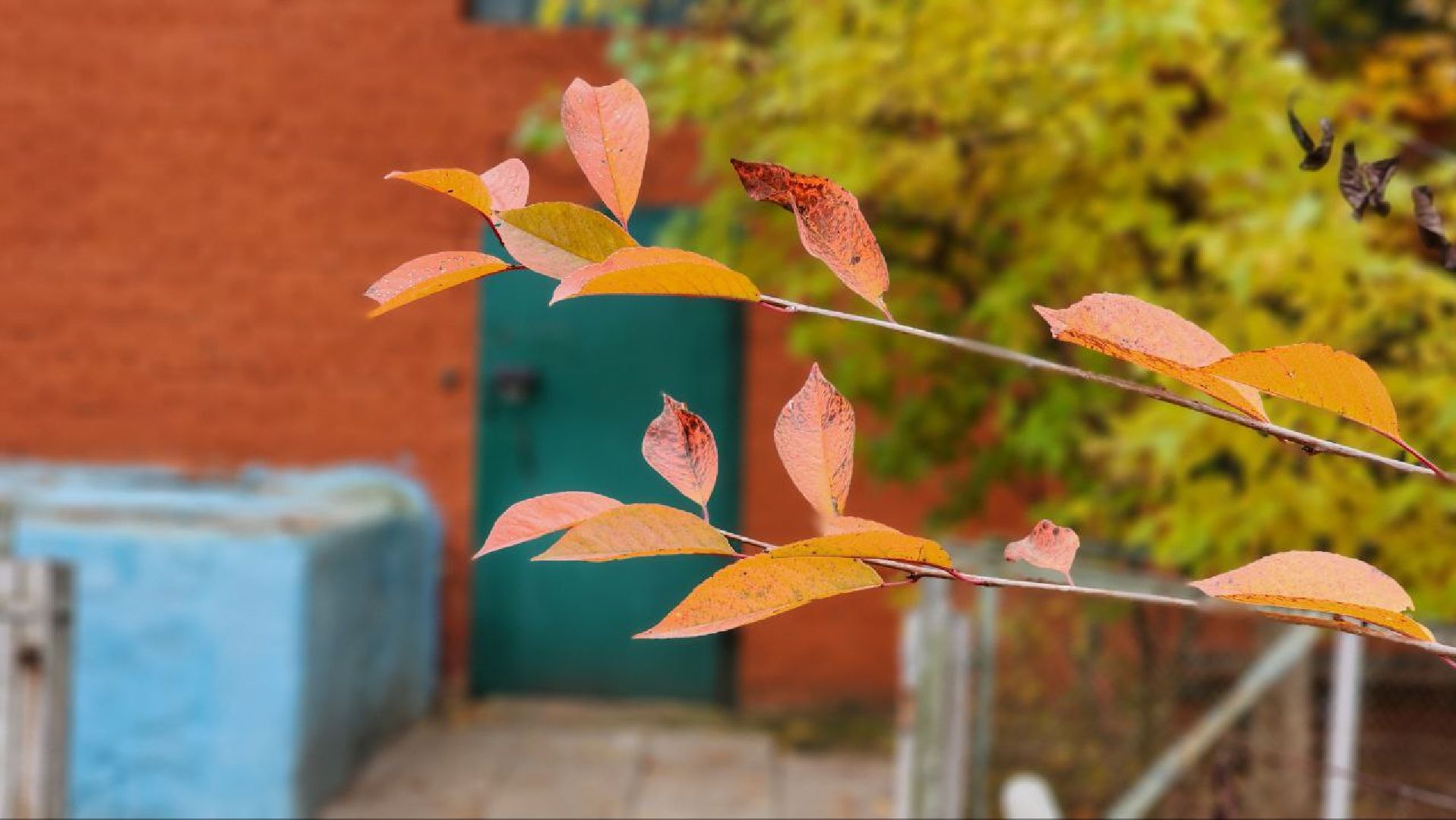 КраснаяПойма  авария ЖКХ Котельная ,