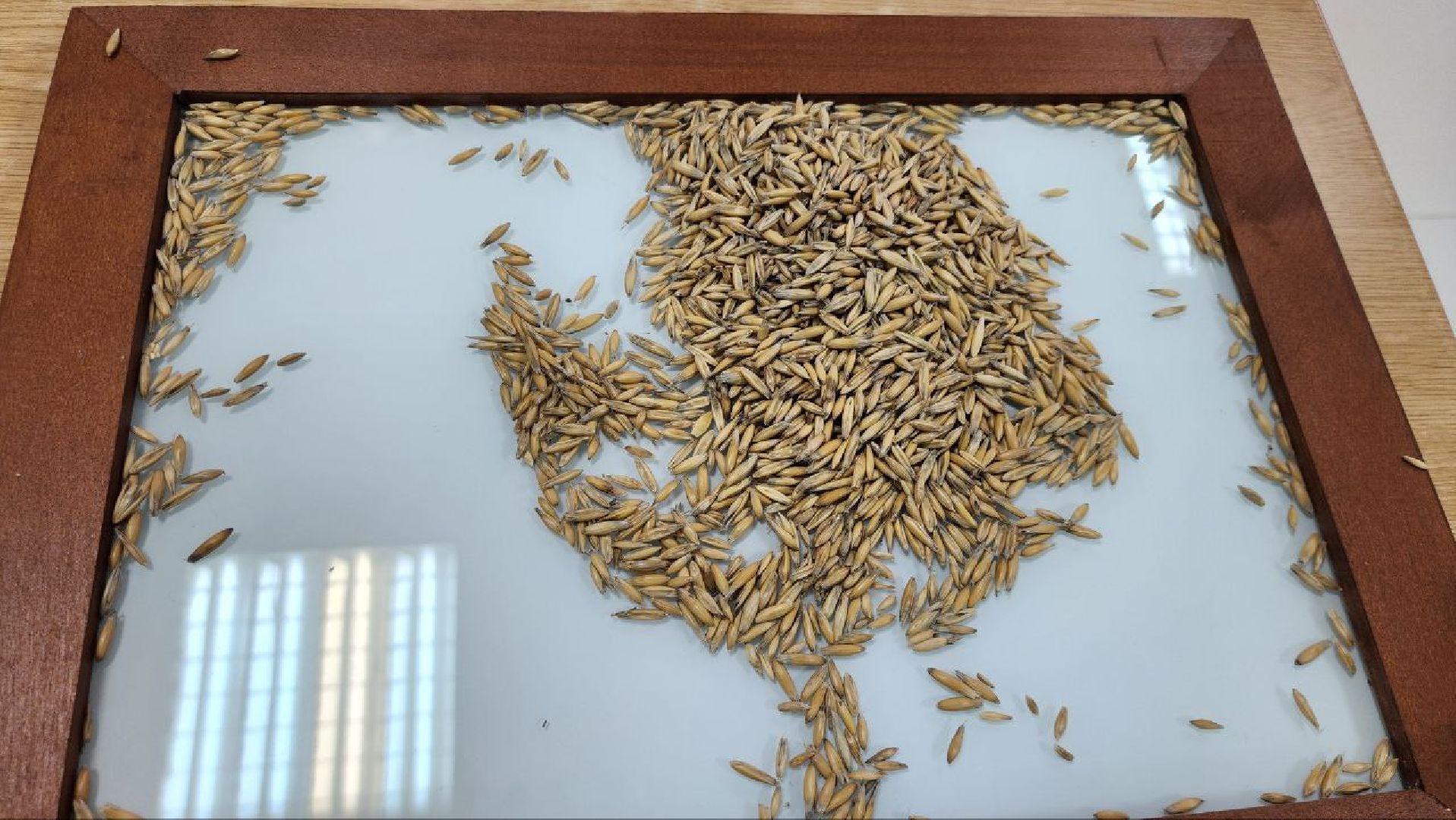 Луховицы #Профориентация #ОбразованиеМО #Школьники #Авиатехникум #АгропромышленныйТехникум ,