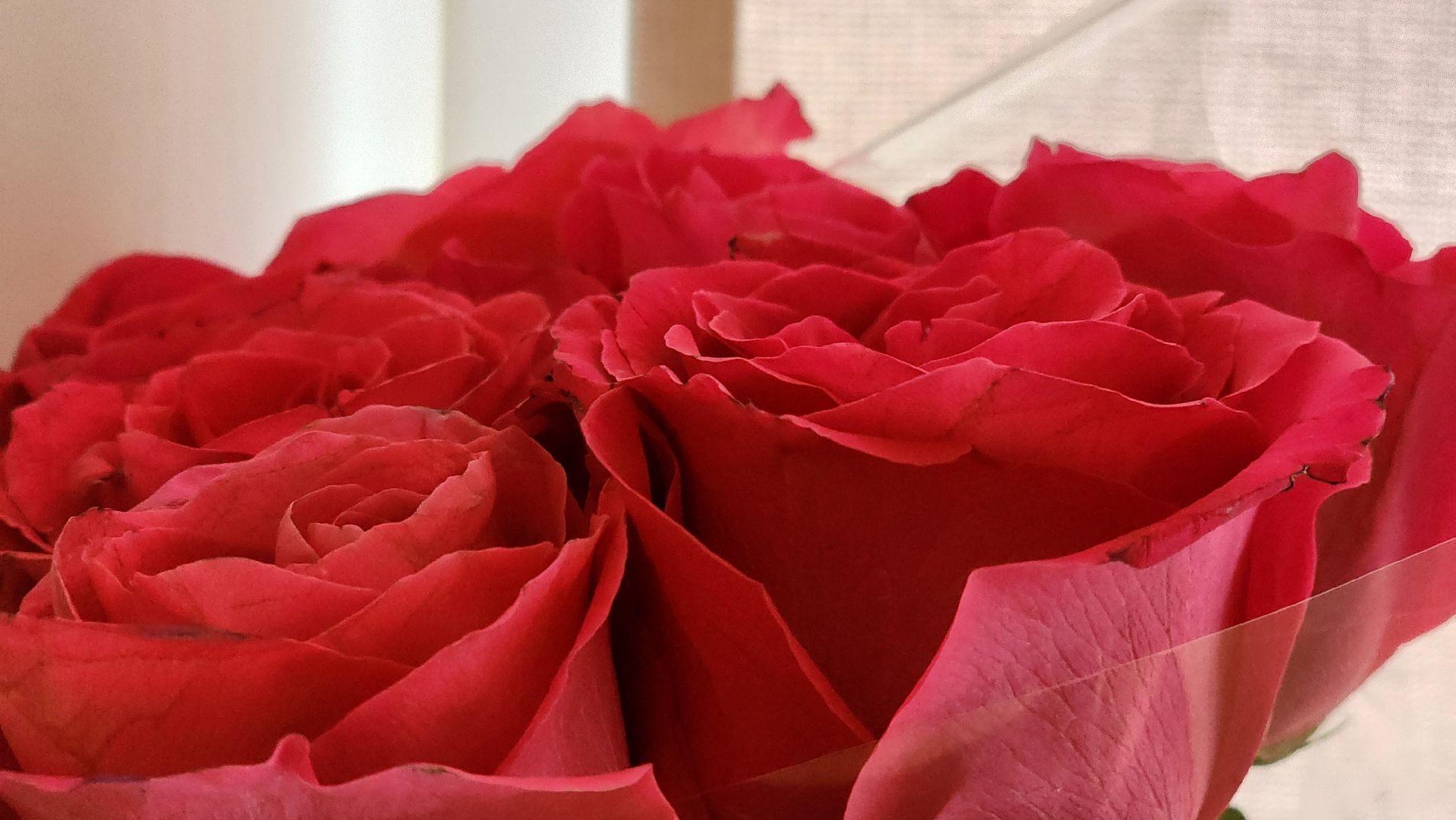 руза, тучково, железная дорога, спасение людей,