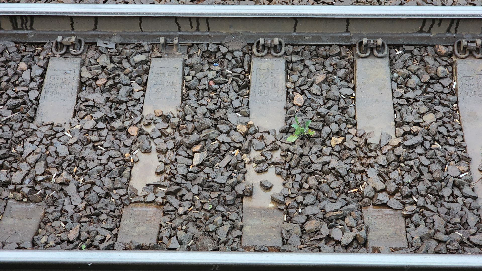 руза, тучково, железная дорога, спасение людей,