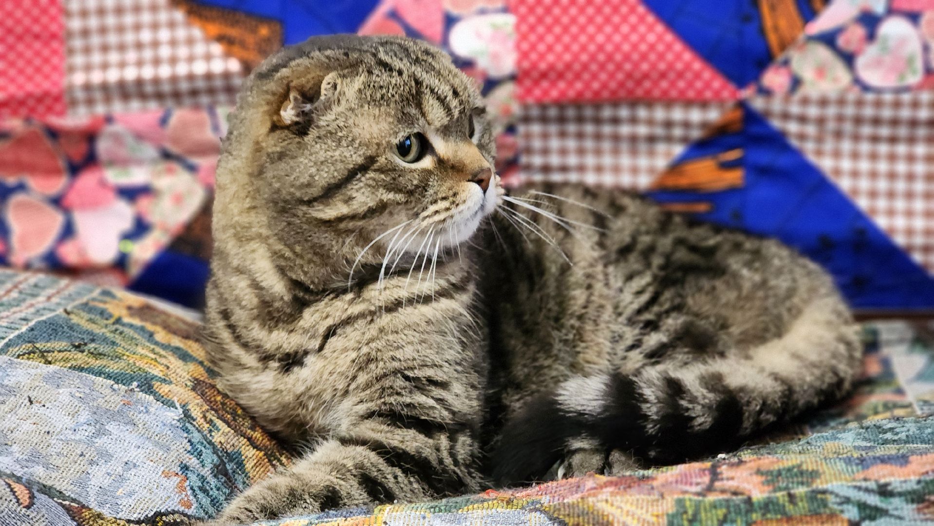 руза, тучково, железная дорога, спасение людей,