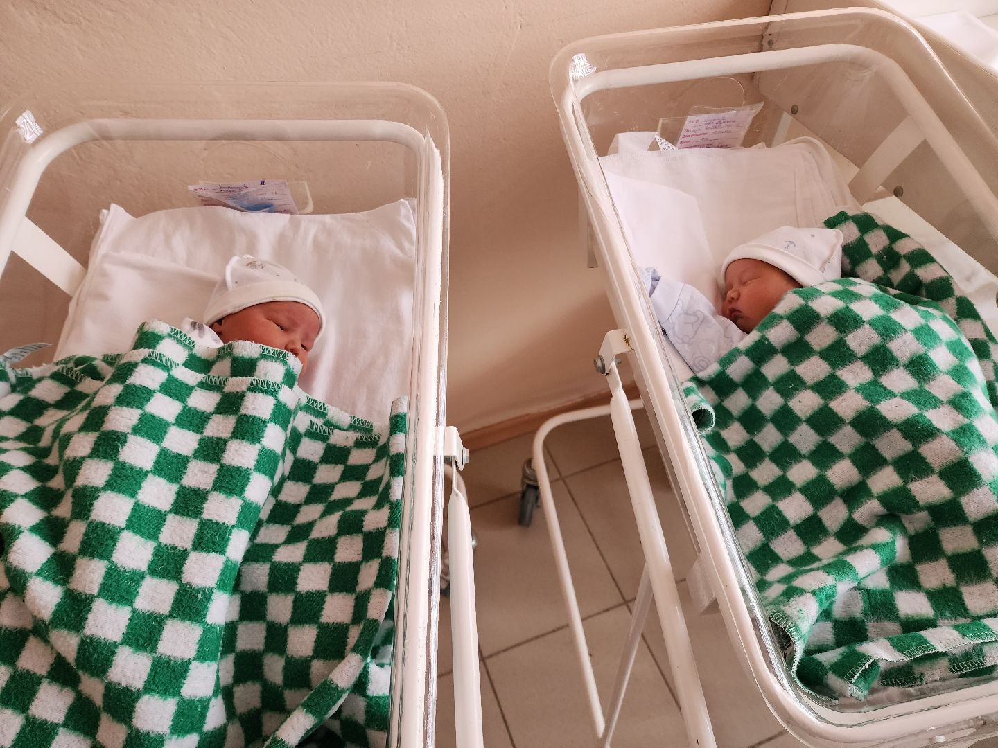 солнечногорск, медицина , двойня, здравоохранение,