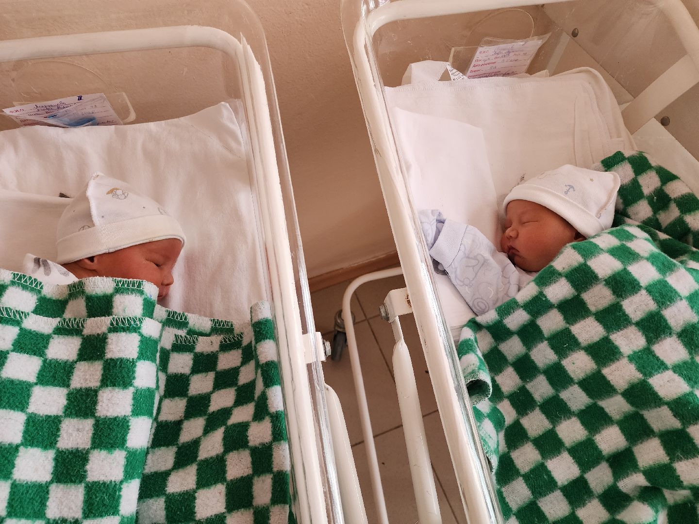 солнечногорск, медицина , двойня, здравоохранение,