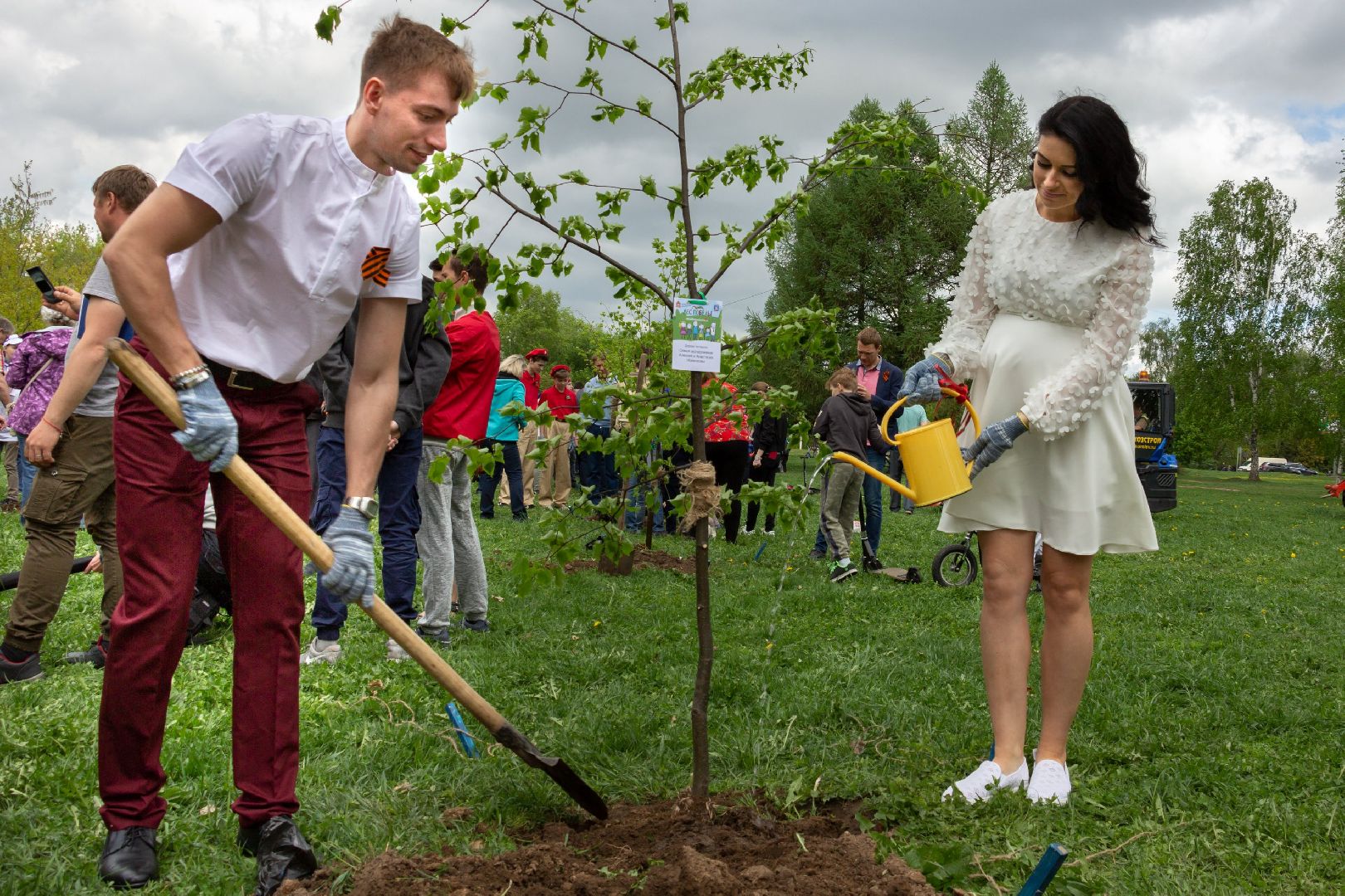 озеленение, благоустройство, лес победы,