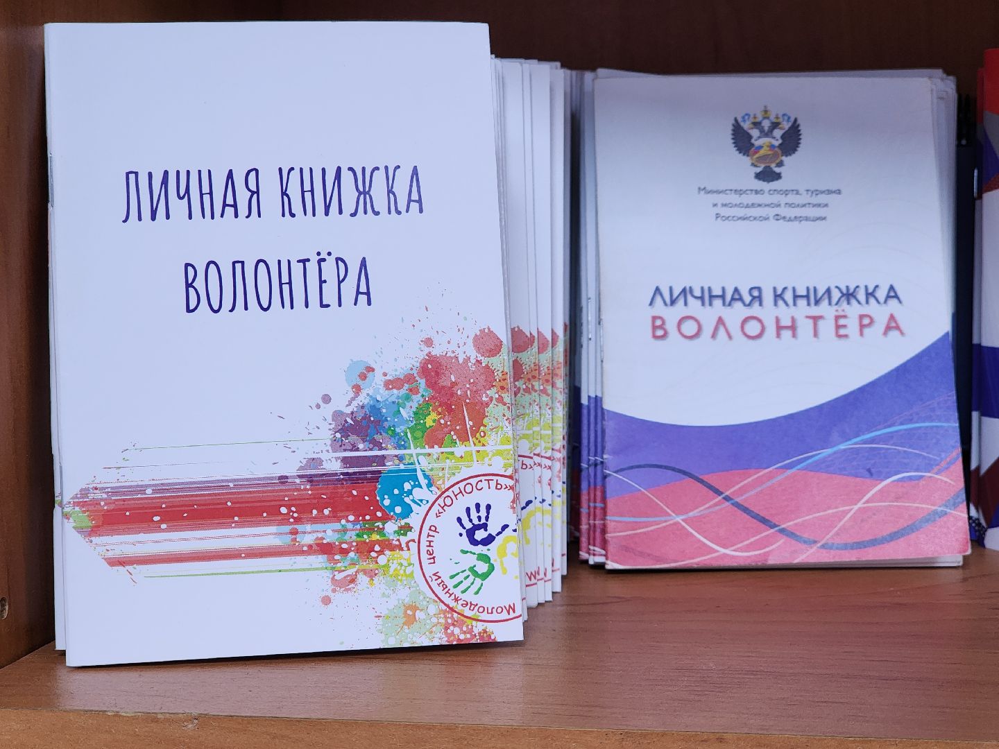 волонтеры подмосковья, амбассадор добра, добровольчество, ногинск, богородский городской округ,