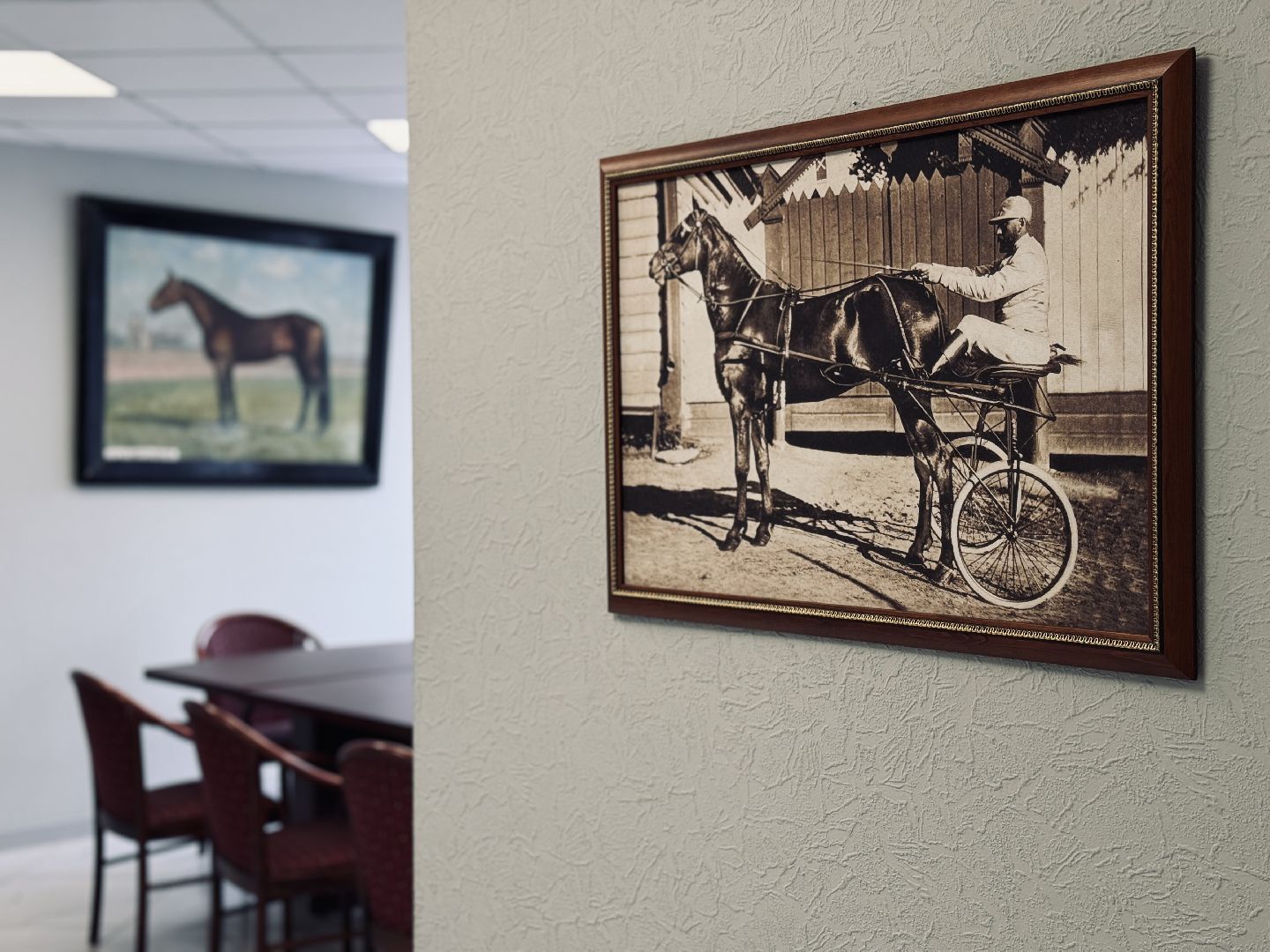 раменское, ипподром, раменский ипподром, экскурсия, туризм в подмосковье,