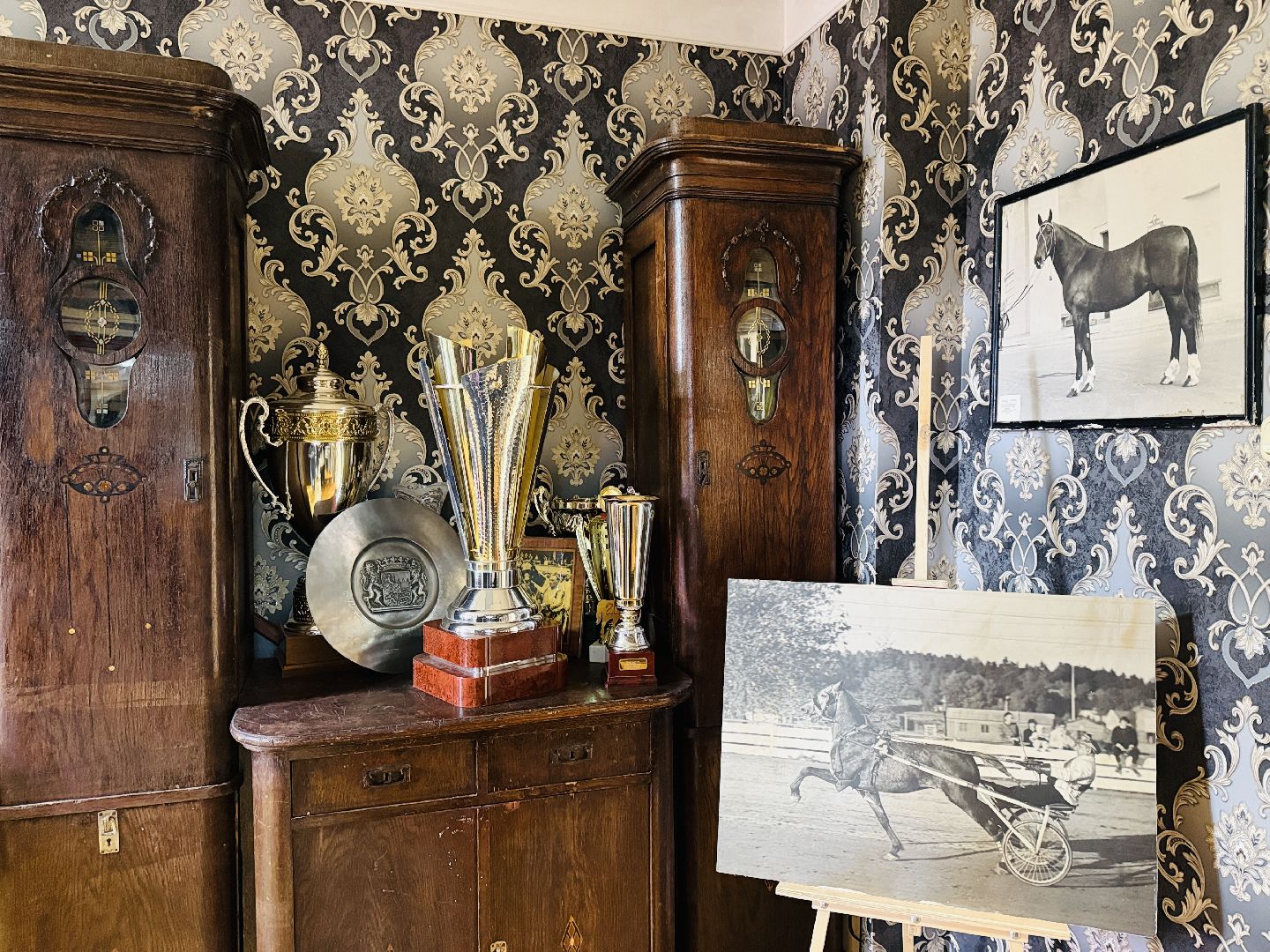 раменское, ипподром, раменский ипподром, экскурсия, туризм в подмосковье,