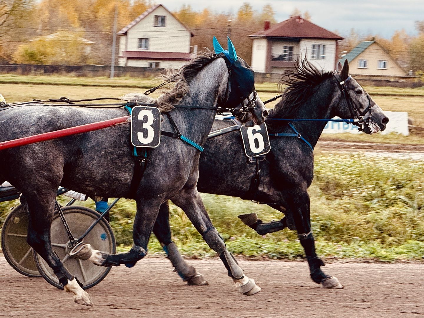 раменское, ипподром, раменский ипподром, экскурсия, туризм в подмосковье,