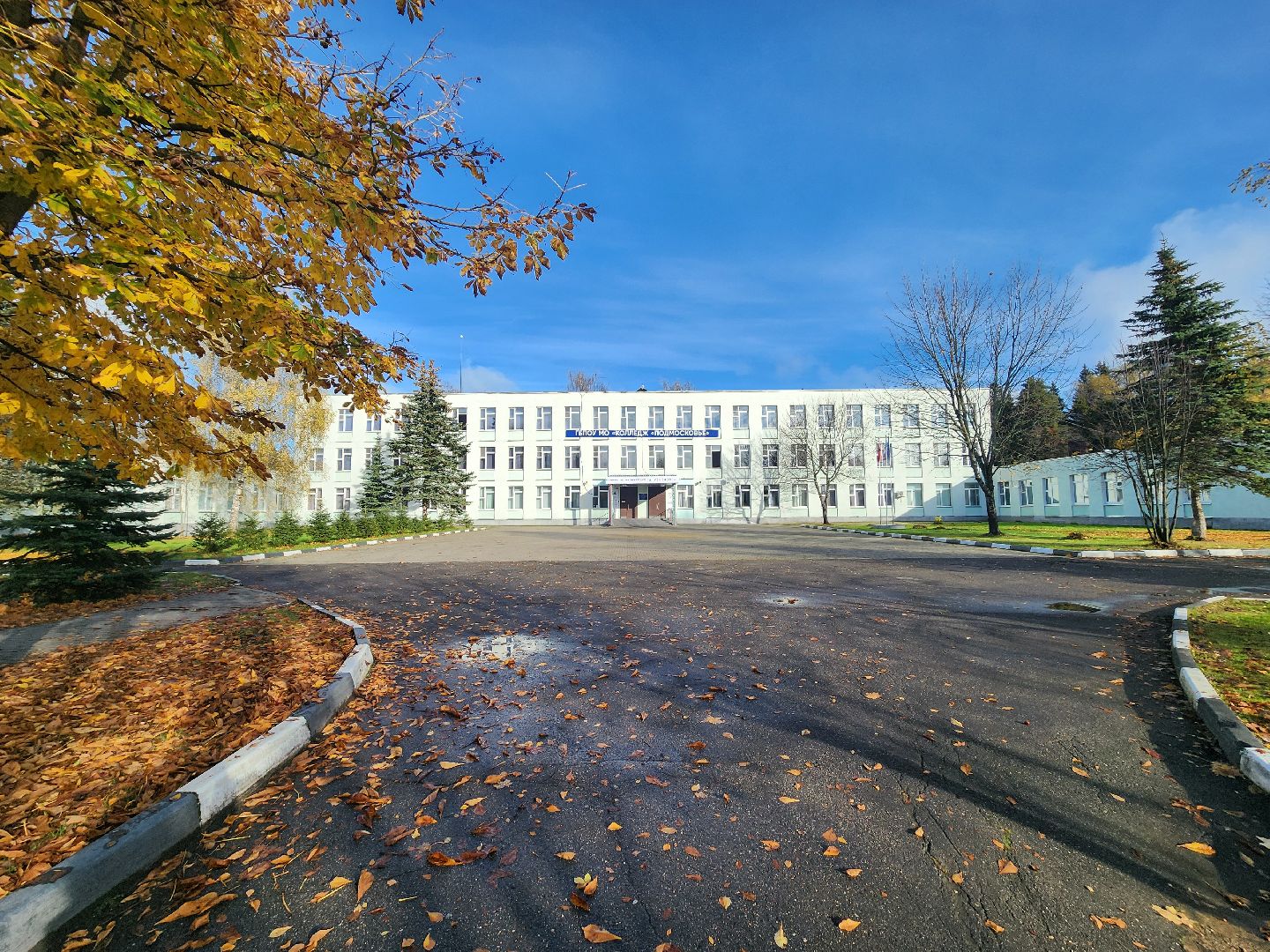 солнечногорск, колледж, студенты, образование ,