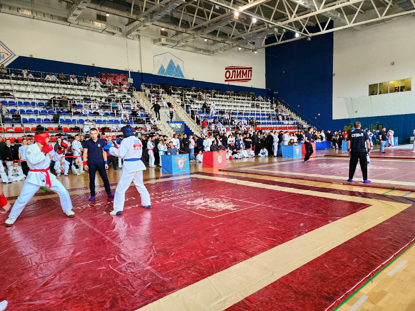солнечногорск, спорт, рукопашники , спортсмены,