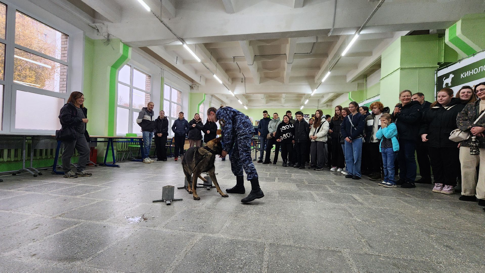 губернский колледж, протвино, профессионалитет,