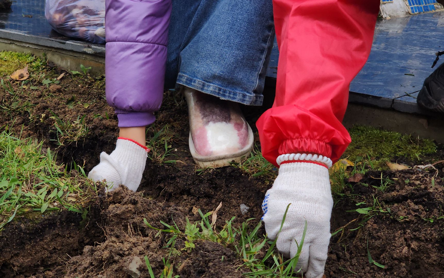 наро-фоминск, наро-фоминский городской округ, экологическая акция, благоустройство клумб, движение первых наро-фоминск, юннаты,
