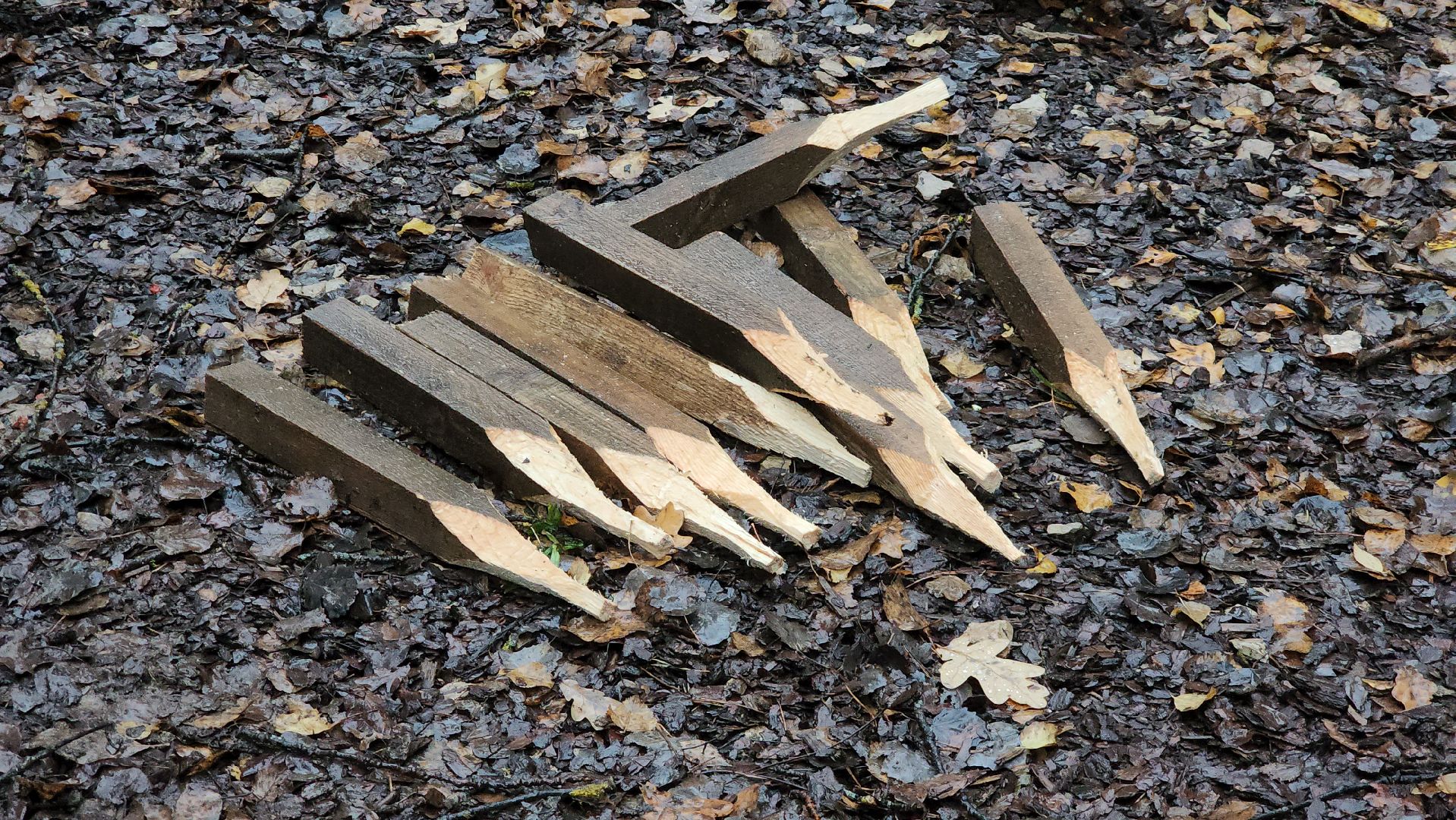 Детская площадка , Площадка для детей в лесу, лесопарк, лобненский парк, Лобня,