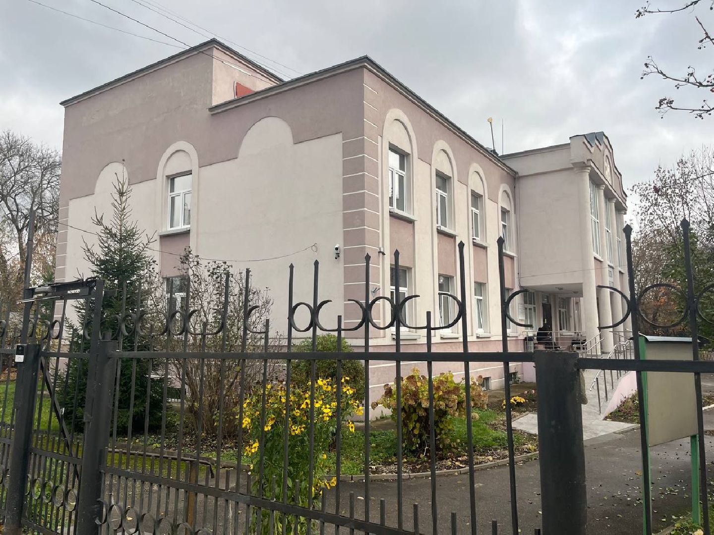 виолончель, красногорск, школа искусств,