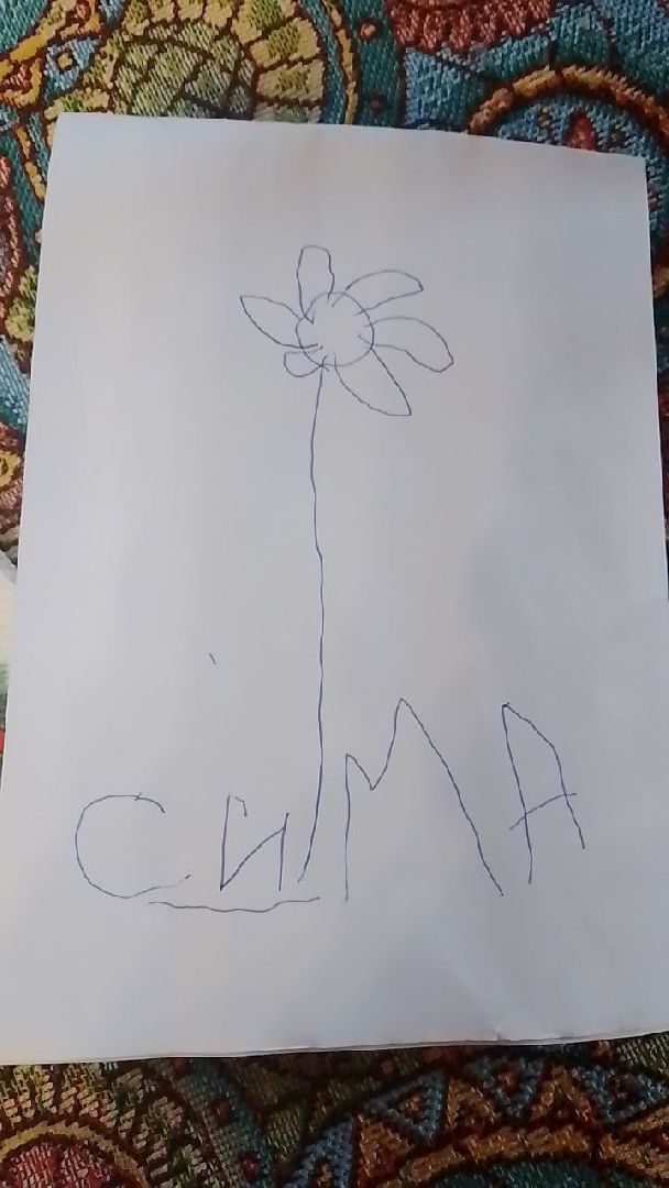 пушкинский городской округ, данилино, помощь бойцам сво, группа мир,специальная военная операция,