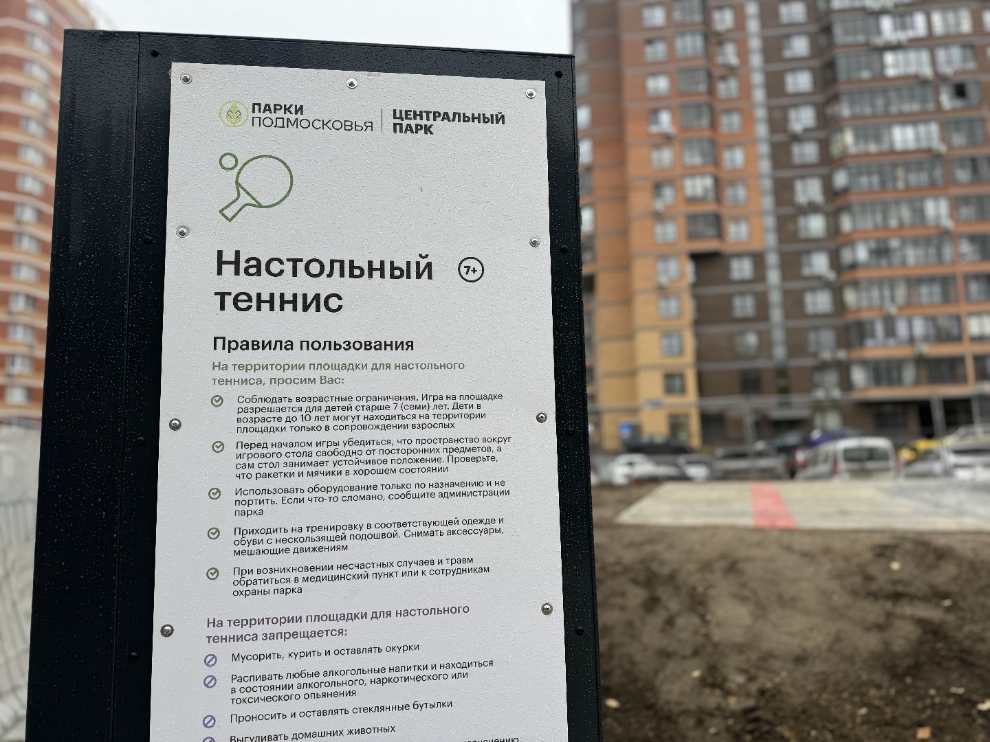 скейт площадка, ленинский городской округ,центральный парк видного,