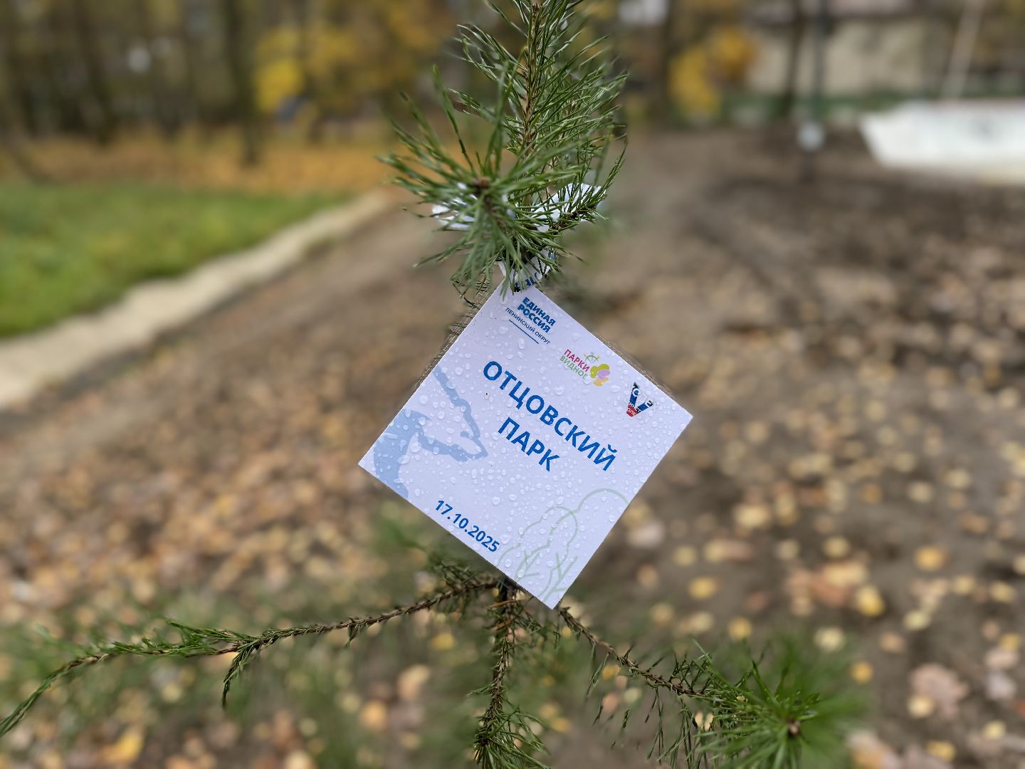 скейт площадка, ленинский городской округ,центральный парк видного,