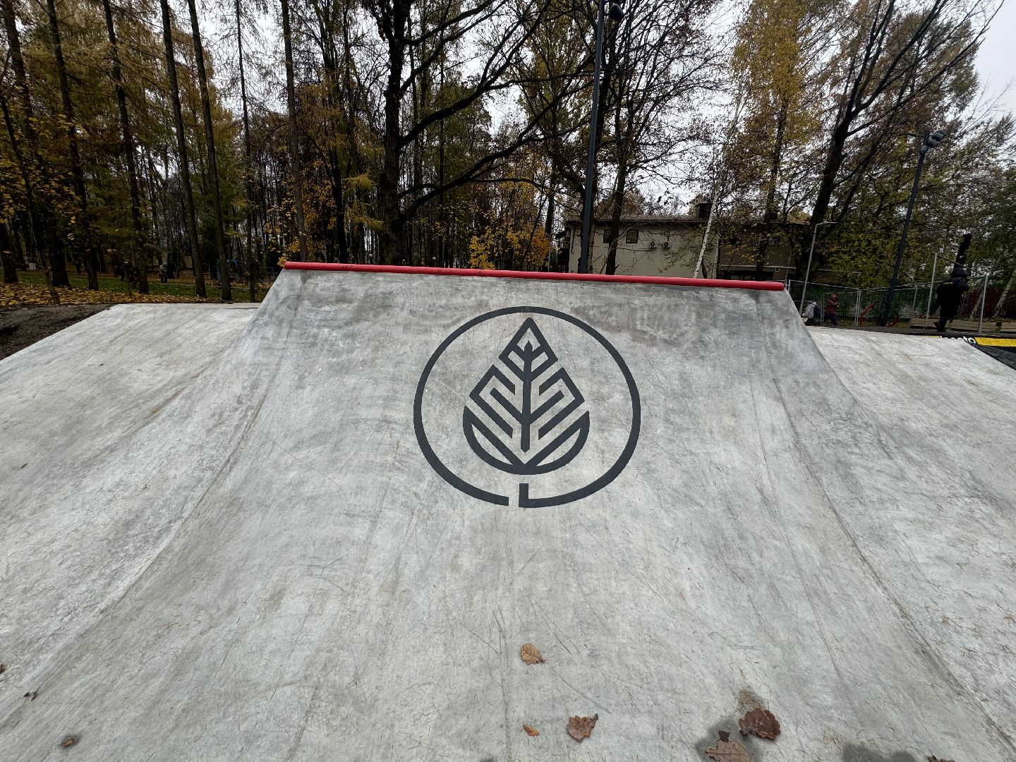 скейт площадка, ленинский городской округ,центральный парк видного,
