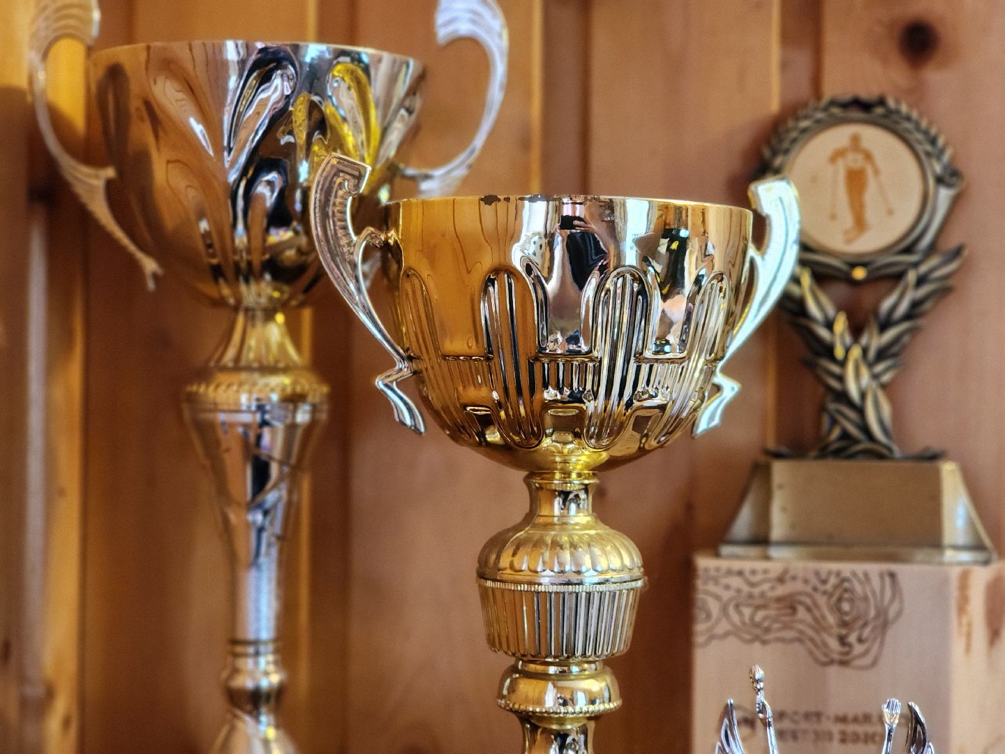 спорт, соревнования, мастер спорта, старая купавна, богородский городской округ,