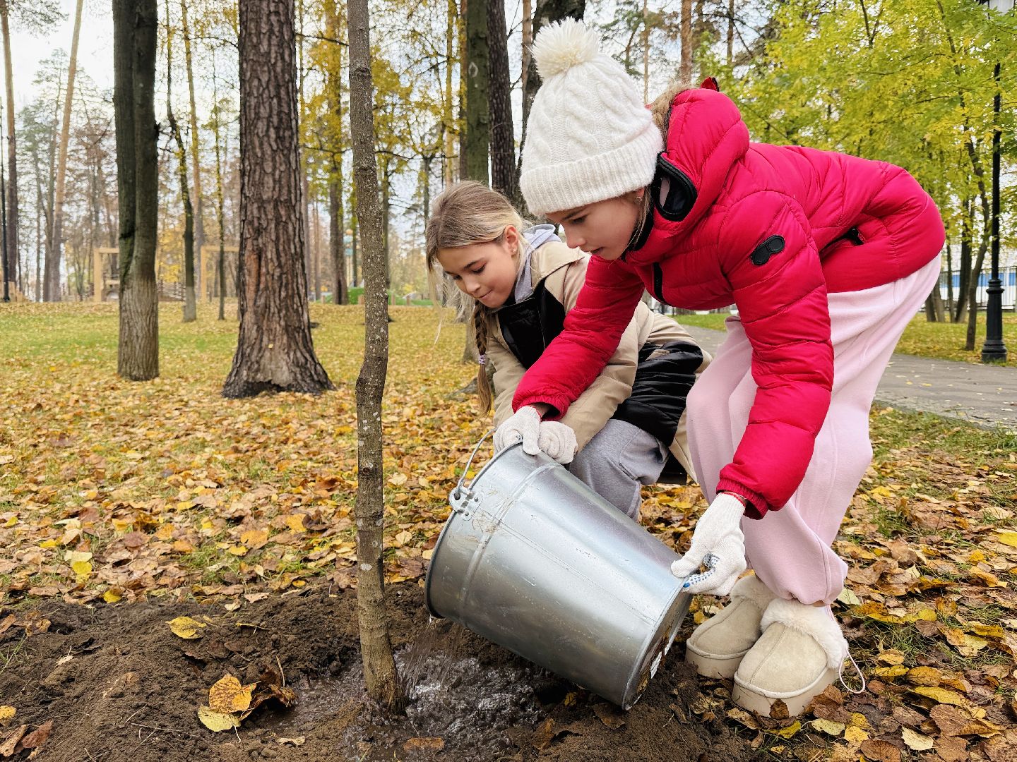 раменское, высадка деревьев, раменский городской парк, раменская гимназия 2, экологическая акция, патриотическая акция,