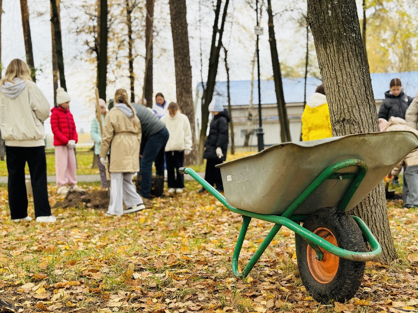 раменское, высадка деревьев, раменский городской парк, раменская гимназия 2, экологическая акция, патриотическая акция,