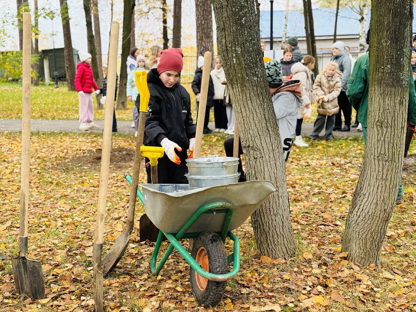 раменское, высадка деревьев, раменский городской парк, раменская гимназия 2, экологическая акция, патриотическая акция,