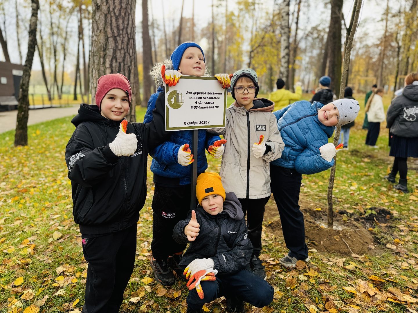 раменское, высадка деревьев, раменский городской парк, раменская гимназия 2, экологическая акция, патриотическая акция,