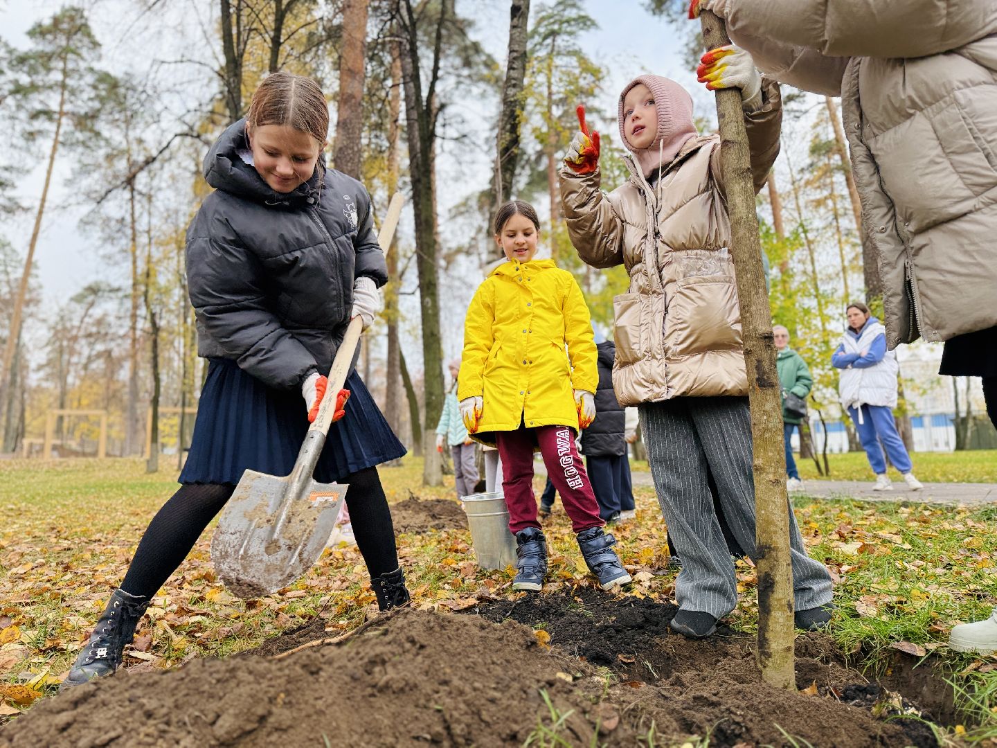 раменское, высадка деревьев, раменский городской парк, раменская гимназия 2, экологическая акция, патриотическая акция,
