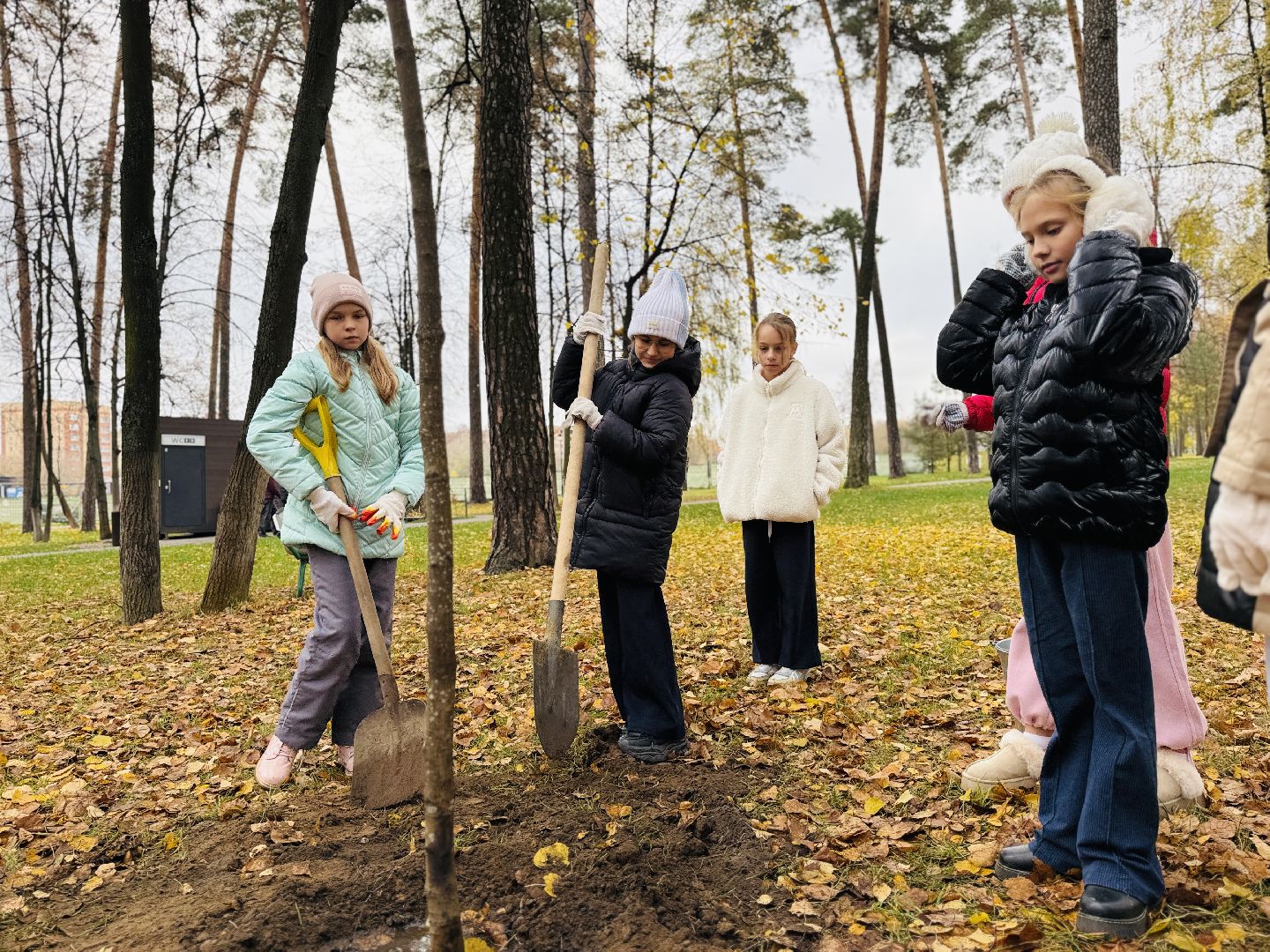 раменское, высадка деревьев, раменский городской парк, раменская гимназия 2, экологическая акция, патриотическая акция,